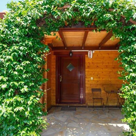 Wooden House In Ioannina Daire Dış mekan fotoğraf