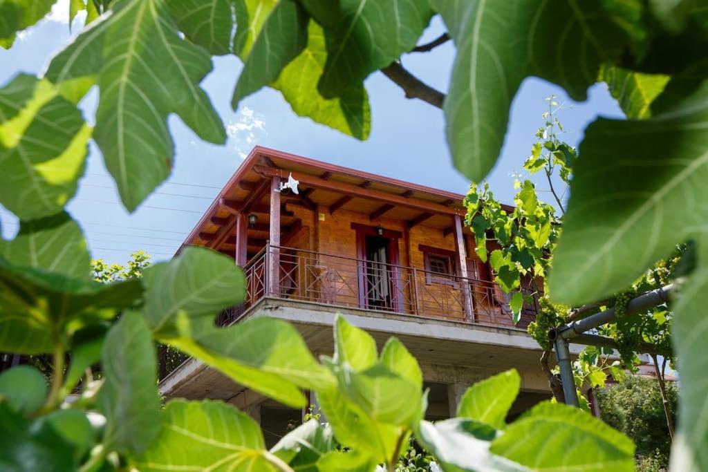Wooden House In Ioannina Daire Dış mekan fotoğraf