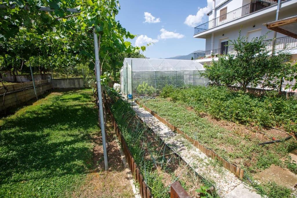 Wooden House In Ioannina Daire Dış mekan fotoğraf