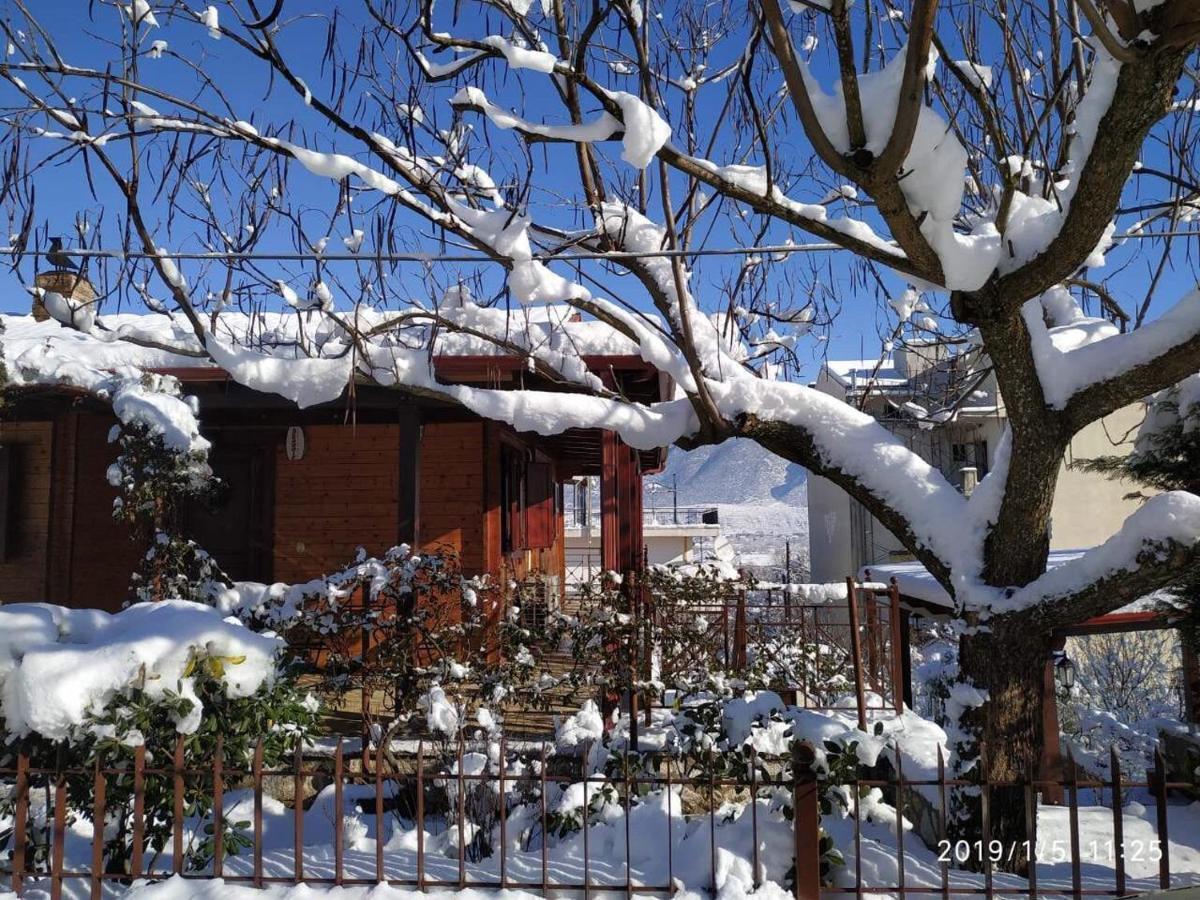 Wooden House In Ioannina Daire Dış mekan fotoğraf