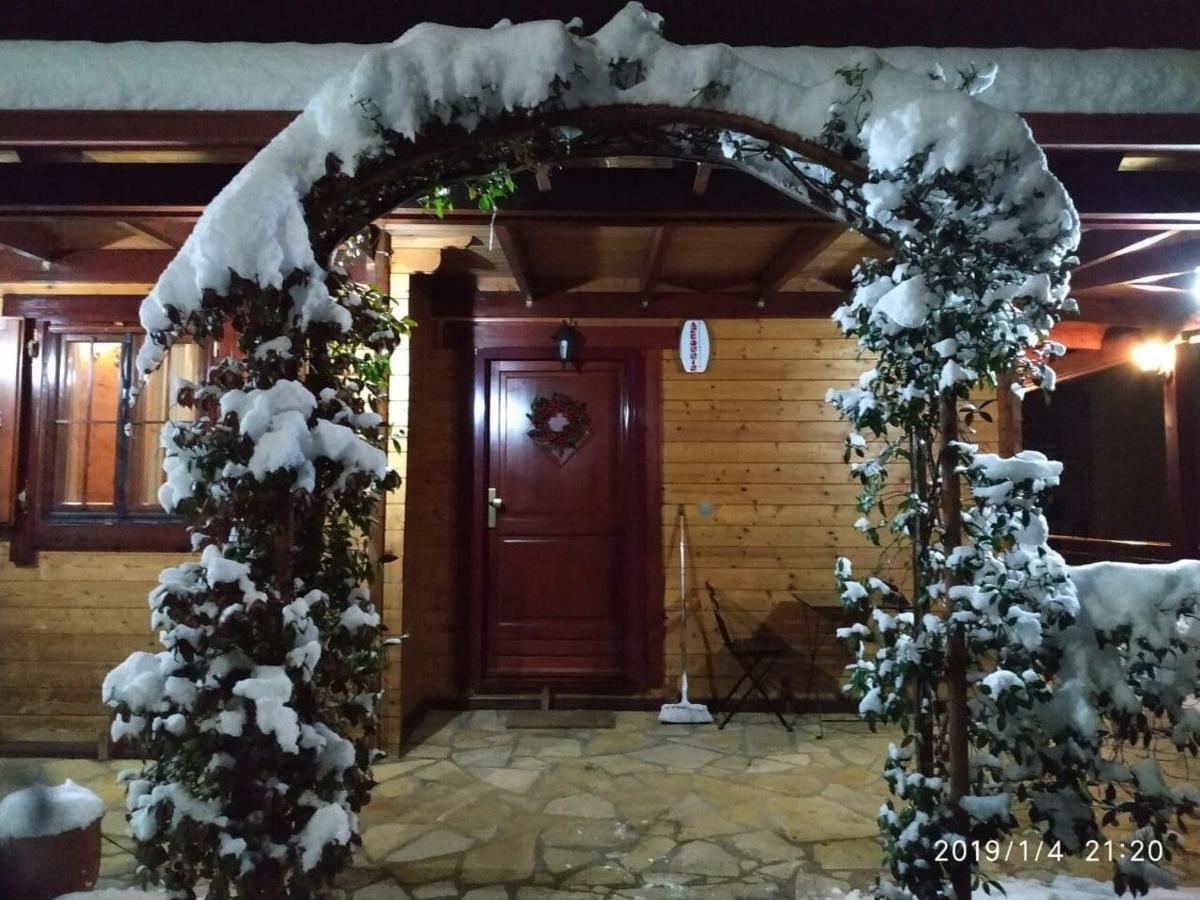 Wooden House In Ioannina Daire Dış mekan fotoğraf
