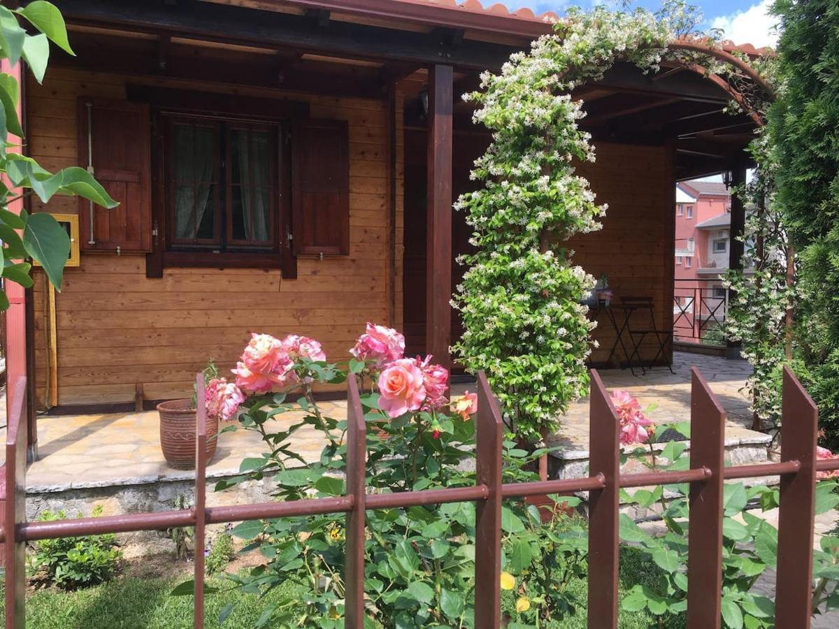 Wooden House In Ioannina Daire Dış mekan fotoğraf