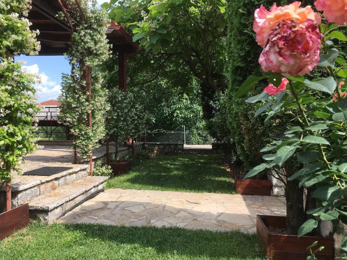 Wooden House In Ioannina Daire Dış mekan fotoğraf